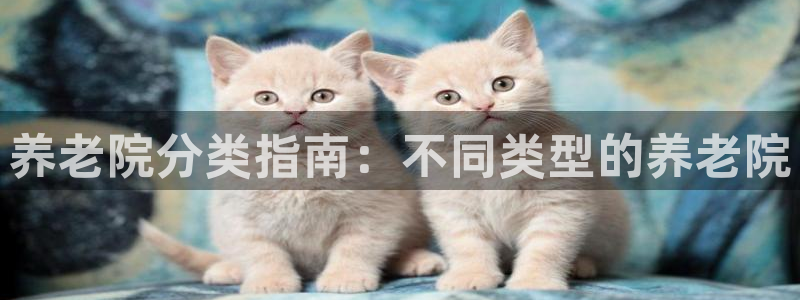 韦德1946官网