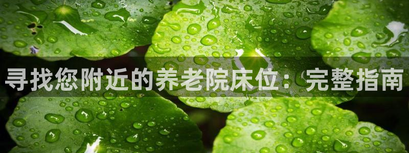 韦德1946娱乐手机版