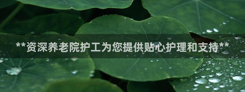 韦德1946客户端