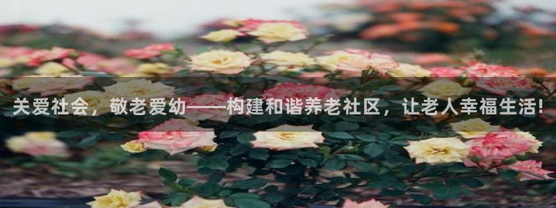韦德国际1946官网