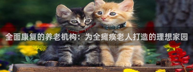 韦德1946官方