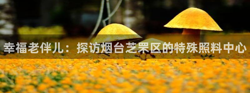 韦德 网站