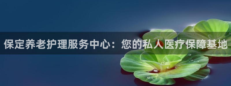 韦德网址
