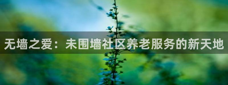 韦德1949