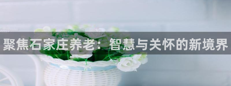韦德app官方网站