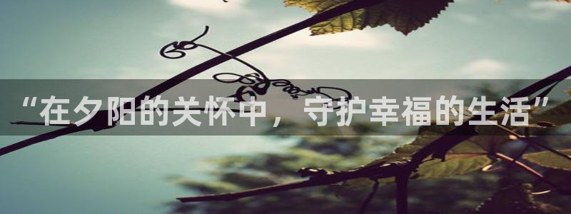 韦德网站官网
