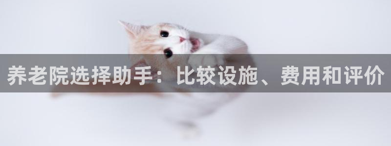 韦德游戏是什么