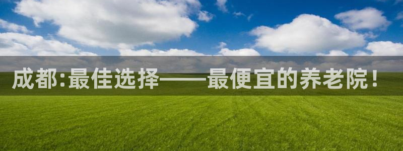 韦德网站是多少