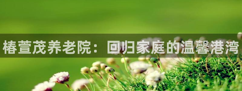 韦德官网注册推荐网站是什么