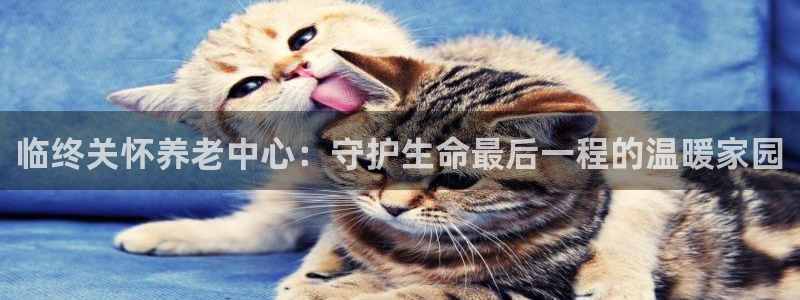 韦德1946博客