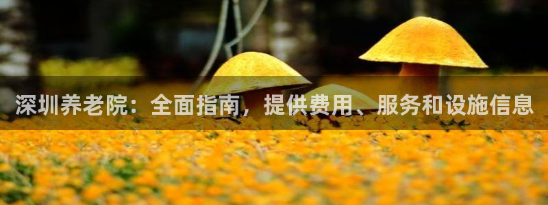 韦德注册手机版