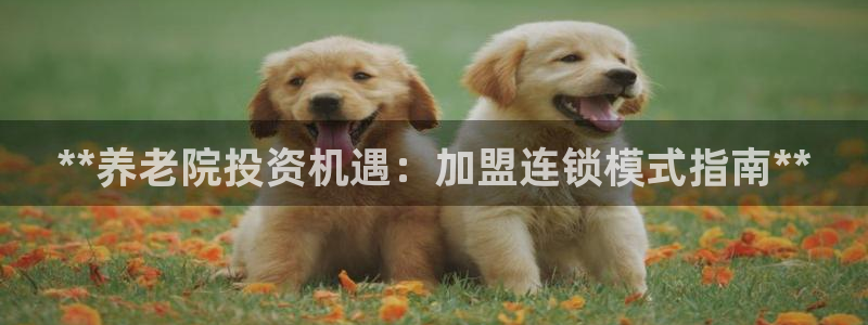 韦德游戏注册要用驾驶证嘛