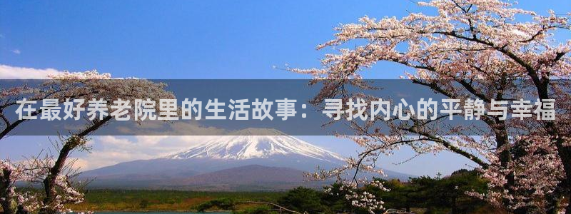 韦德注册手机版下载