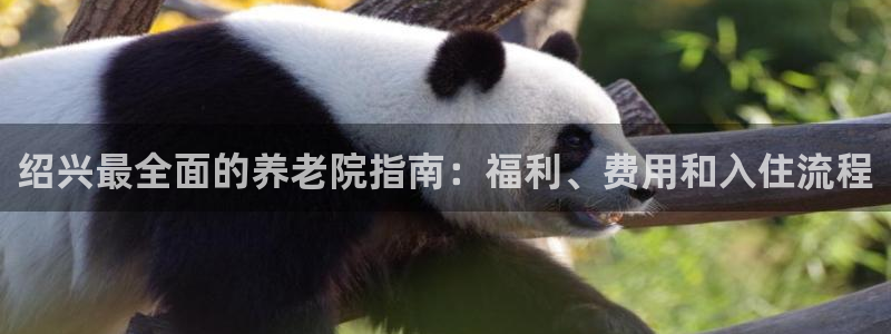 韦德1946娱乐手机版