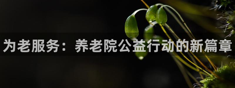 韦德bietview官网