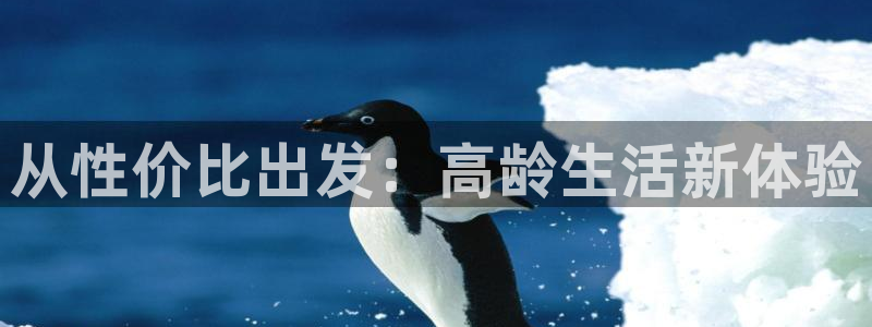 1946韦德找回密码