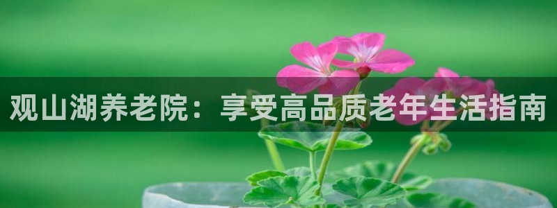 韦德app官方网站