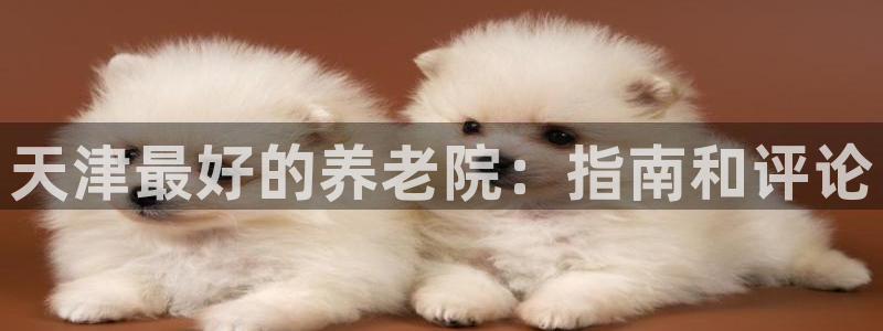 韦德游戏注册需要什么