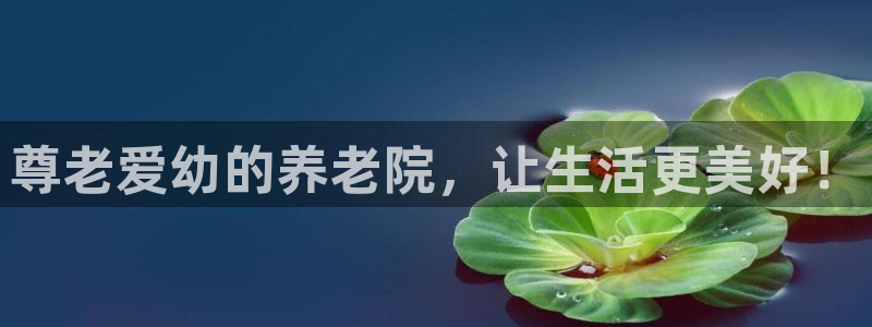 韦德1946中文官网